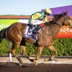 King Mahuta wins the 2025 Broome Cup for jockey Elisha Whittington