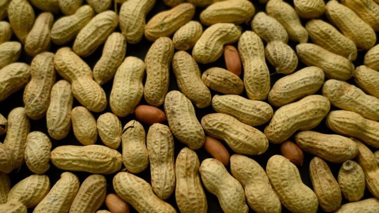 california-votes-on-life-saving-allergen-disclosure-bill