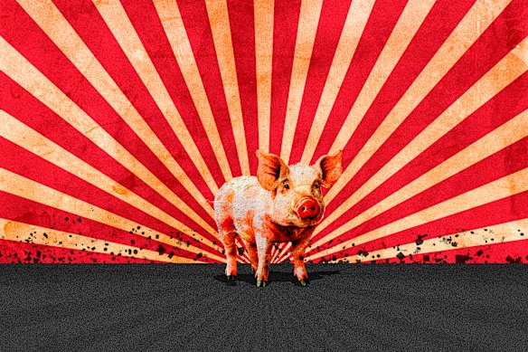 celebrating-80-years-of-animal-farm-a-literary-masterpiece