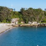 central-coast-councillors-approve-shark-net-removal-trial-now