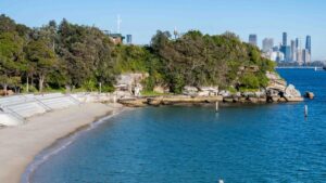 central-coast-councillors-approve-shark-net-removal-trial-now