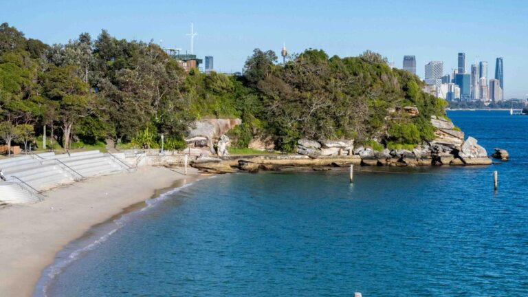 central-coast-councillors-approve-shark-net-removal-trial-now
