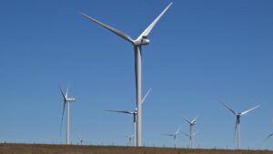 controversial-tasmanian-wind-farm-gains-approval-after-eight-years