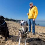 council-votes-to-keep-off-leash-dog-areas-at-beaumaris-beach