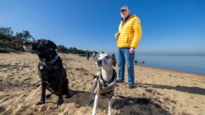council-votes-to-keep-off-leash-dog-areas-at-beaumaris-beach