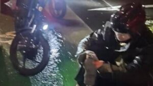 delivery-driver-stabbed-in-sydney-urgent-police-investigation-underway