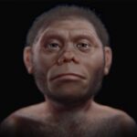discoveries-in-sulawesi-reveal-early-hominin-toolmakers