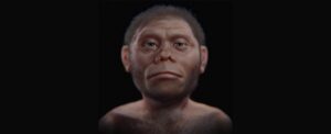 discoveries-in-sulawesi-reveal-early-hominin-toolmakers