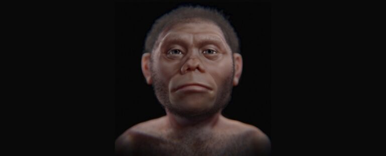 discoveries-in-sulawesi-reveal-early-hominin-toolmakers