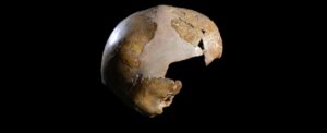 discovery-of-ancient-skull-links-neanderthals-to-modern-humans