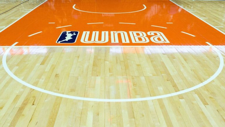 disruptive-incidents-sex-toy-thrown-on-wnba-court-twice-this-week