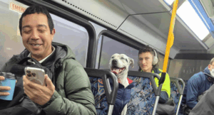 dog-s-bus-adventure-ends-with-happy-reunion-after-15-minutes