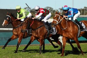 dollar-magic-aims-to-break-second-place-record-at-randwick