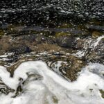 european-union-considers-ban-on-pfas-amid-health-concerns