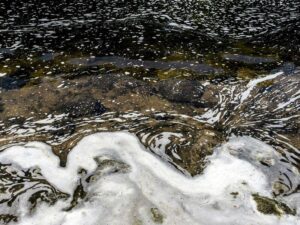 european-union-considers-ban-on-pfas-amid-health-concerns
