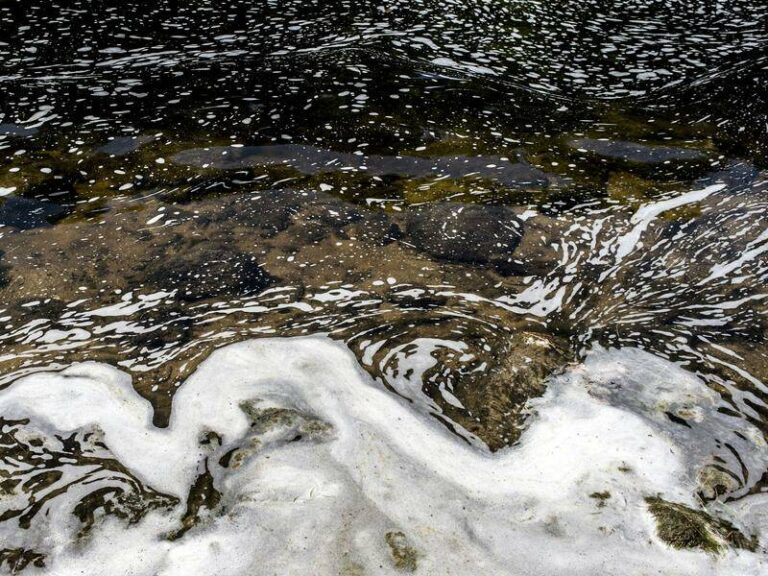 european-union-considers-ban-on-pfas-amid-health-concerns