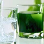 examining-the-science-behind-popular-supplements-chlorophyll-and-collagen
