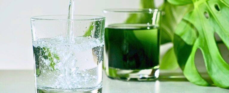 examining-the-science-behind-popular-supplements-chlorophyll-and-collagen