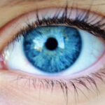 eye-movements-may-reveal-early-signs-of-memory-decline