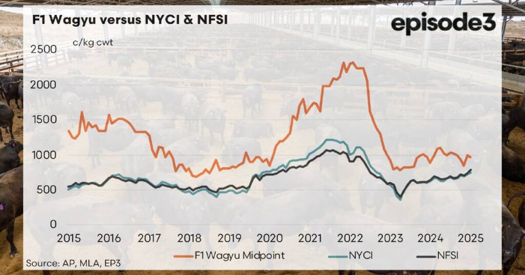 f1-wagyu-prices-decline-market-struggles-with-oversupply