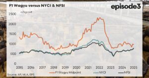 f1-wagyu-prices-decline-market-struggles-with-oversupply