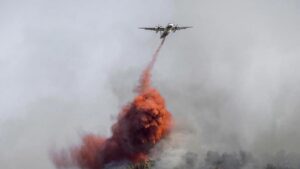 france-s-largest-wildfire-claims-one-life-engulfs-area-larger-than-paris