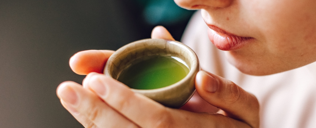 green-tea-and-vitamin-b3-may-combat-alzheimer-s-disease