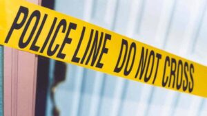 griffith-woman-arrested-for-shoplifting-99-spot-cleaner