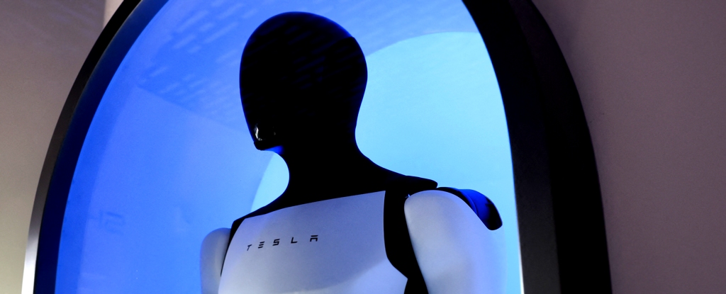 humanoid-robots-face-design-flaw-industry-s-path-questioned