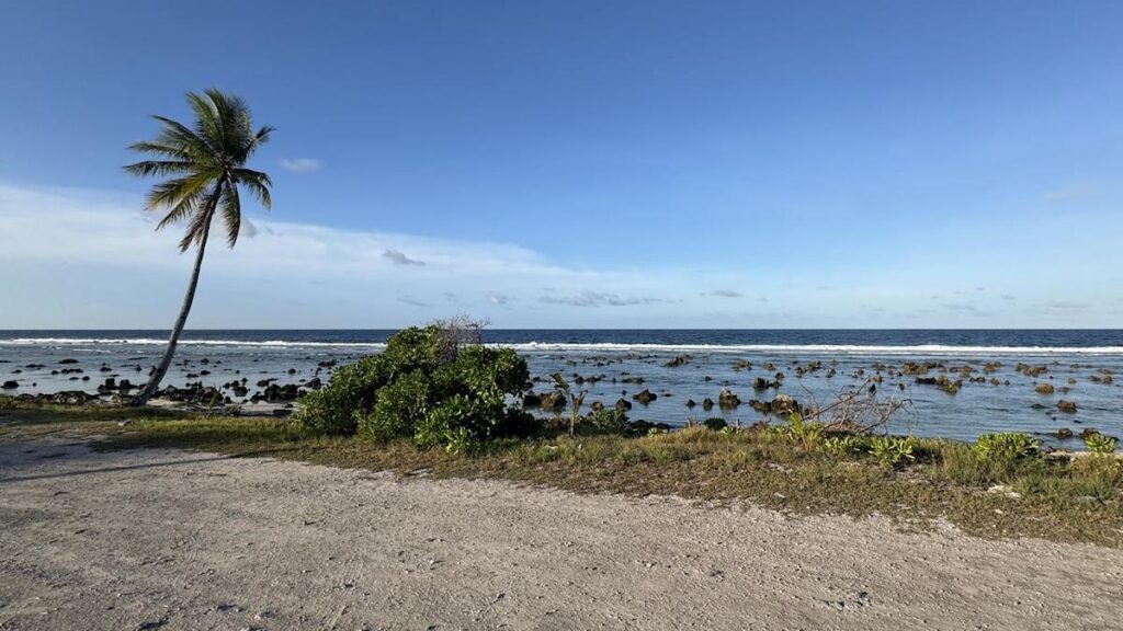 hundreds-of-former-detainees-to-be-deported-to-nauru-in-urgent-deal