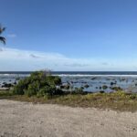 hundreds-of-former-detainees-to-be-deported-to-nauru-in-urgent-deal