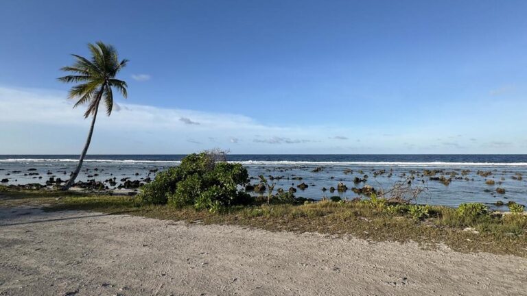 hundreds-of-former-detainees-to-be-deported-to-nauru-in-urgent-deal