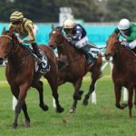 jason-collett-aims-for-century-of-wins-with-nashville-jack-at-rosebud