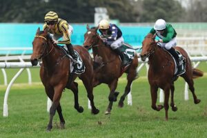 jason-collett-aims-for-century-of-wins-with-nashville-jack-at-rosebud