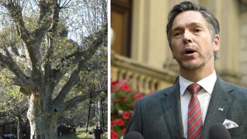 melbourne-s-mayor-proposes-radical-six-season-calendar-now