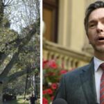 melbourne-s-mayor-proposes-radical-six-season-calendar-now