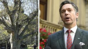 melbourne-s-mayor-proposes-radical-six-season-calendar-now