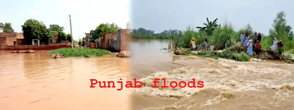 monsoon-floods-devastate-punjab-and-maharashtra-urgent-alerts-issued