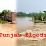 monsoon-floods-devastate-punjab-and-maharashtra-urgent-alerts-issued