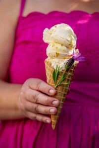 new-lavender-honey-and-bee-pollen-ice-cream-recipe-unveiled