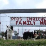 new-nsw-health-panel-report-downplays-pfas-health-risks
