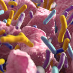new-study-links-gut-microbes-to-natural-weight-loss-solutions