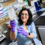 new-study-reveals-how-lipid-packing-affects-membrane-flexibility