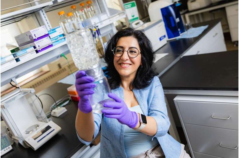 new-study-reveals-how-lipid-packing-affects-membrane-flexibility