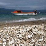 pacific-leaders-urgently-call-for-climate-action-funding-now