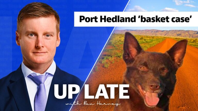 port-hedland-s-local-council-crisis-unfolds-amid-chaos