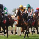 port-macquarie-set-for-exciting-racing-action-on-friday