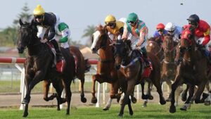 port-macquarie-set-for-exciting-racing-action-on-friday
