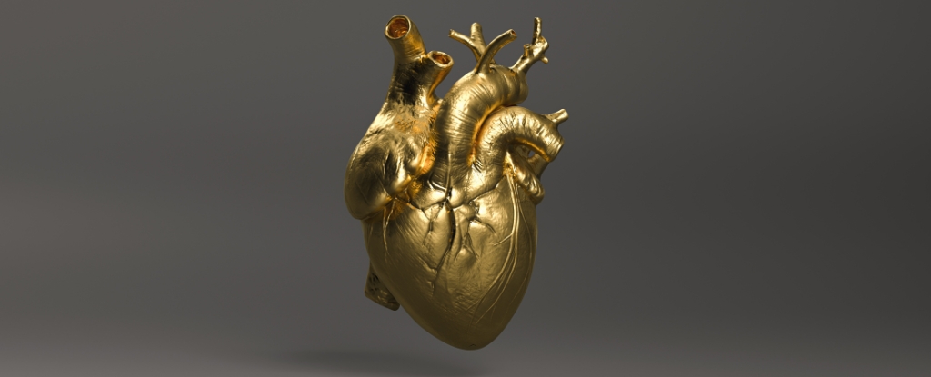 protect-your-heart-four-key-steps-for-better-health