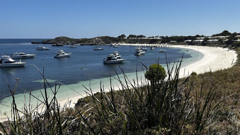 Looking out over Geordie Bay, Rottnest Island~|~|s1DlqEKpQ2